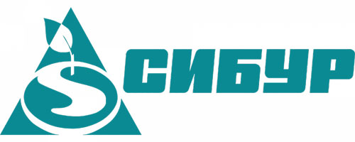 АО «СибурТюменьГаз». Проект 2020 АО «СибурТюменьГаз». Проект 2020